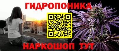 ешки Гай