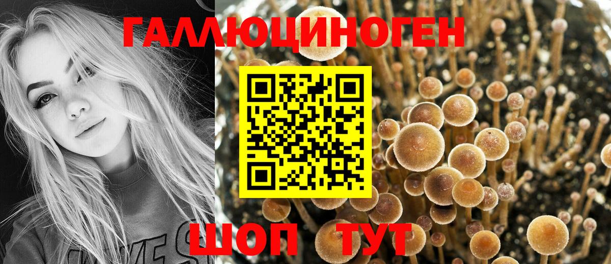 Галлюциногенные грибы ЛСД  Галлюциногенные грибы Magic Shrooms  Нефтекумск  цены   Вход с VPN 