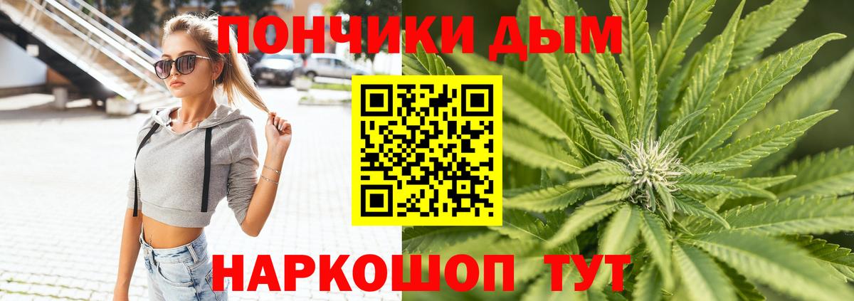 Шишки марихуана планчик Нефтекумск